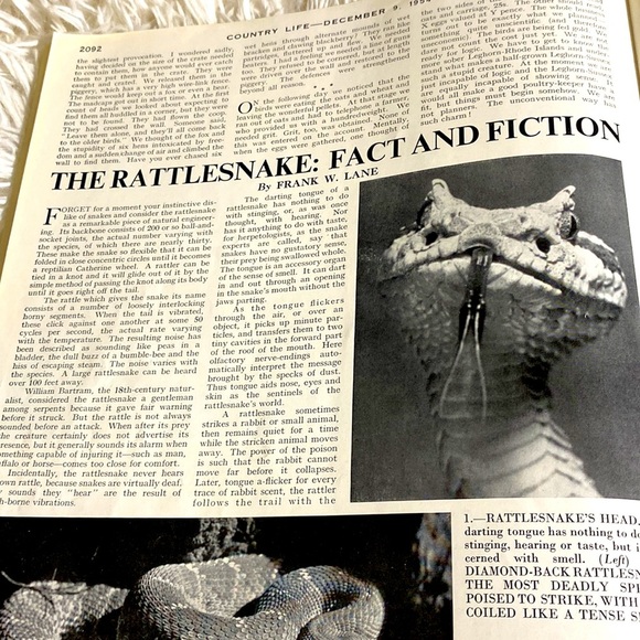 VINTAGE COUNTRY LIFE MAGAZINE Christmas Ads December 9, 1954 EUC - Picture 9 of 16